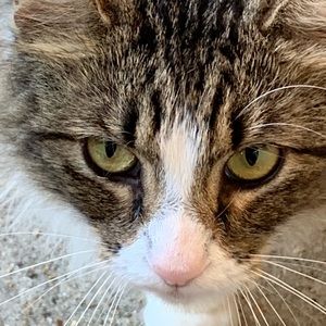 Meet your Posher, Jo